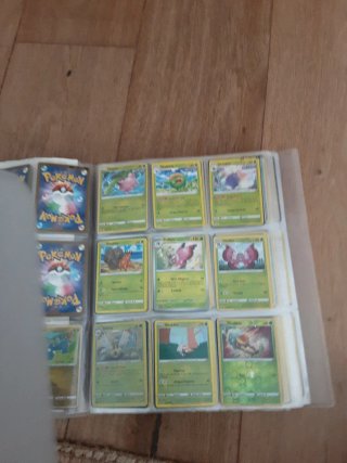 Álbum Pokémon Antiguo