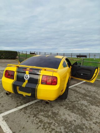 Ford Mustang 2010