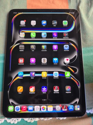 Apple iPad Pro Gris Plata