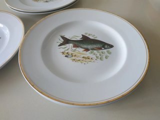 Platos Vargas Segovia descatalogados