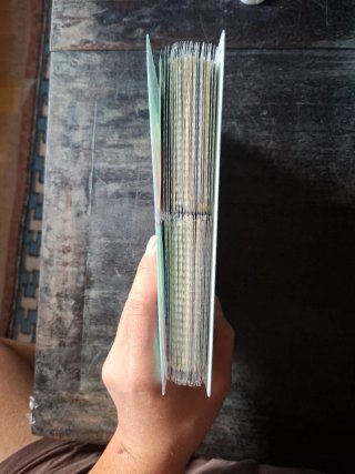 Álbum de cartas Pokémon(Incluye cartas falsas)