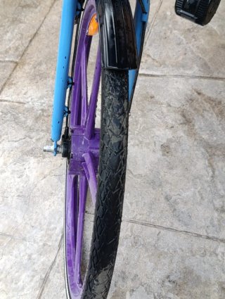 Ebike Paseo Nueva Motor Central