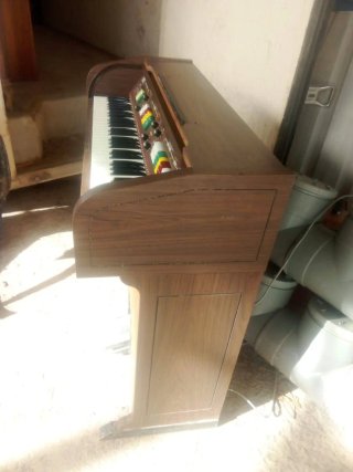Órgano Brio 61 CS Vintage