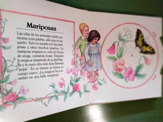 SORPRESAS DE LA NATURALEZA Libro PopUp de 2/5 años