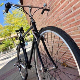 Bicicleta Clásica Talla L