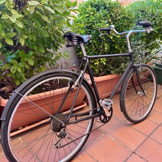 Bicicleta Clásica Talla L