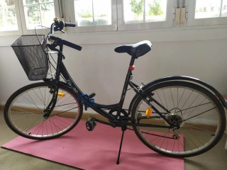 Bicicleta Vintage Mujer Paseo