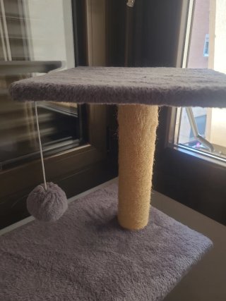 Árbol rascador para gatos