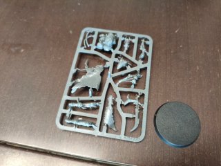 Arconte Drukhari en matriz Warhammer