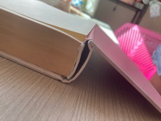 Diario de Nikki Una patinadora sobre hielo algo...