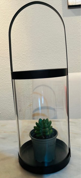 Portavelas grande ,Terrario plantas u orquídeas
