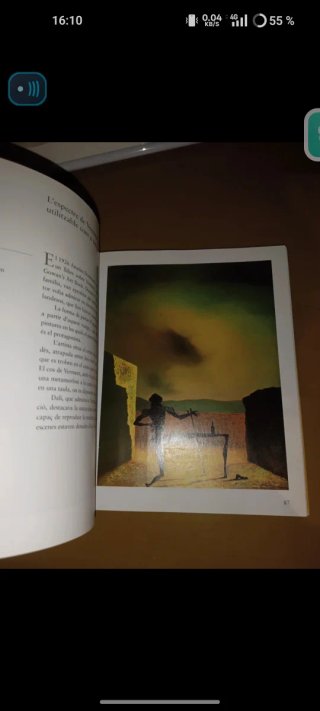 Libro DALI - Grans Genis de l'Art a Catalunya