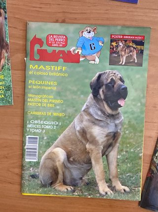 Lote 5 Revistas GUAU Vintage (Coleccionismo Canino