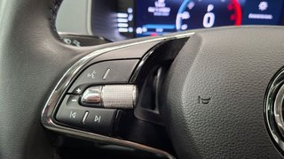 Skoda Karoq 2.0 TDI 110kW (150CV) DSG 4X4 Ambition