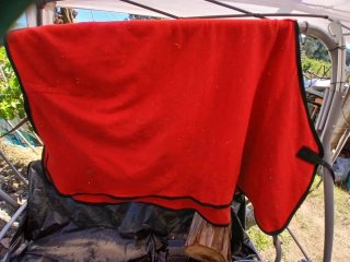 Manta polar para caballo 1m