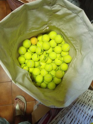 Lote 120 Pelotas de Tenis