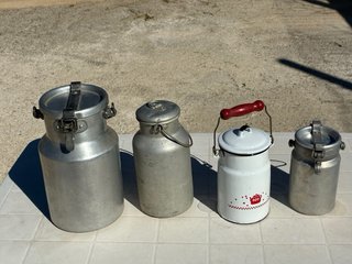 Bidoni latte vintage da collezione