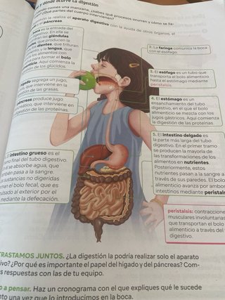 Ciencias de la Naturaleza, 5 Primaria, Comunida...