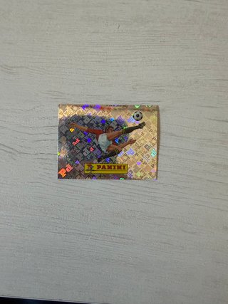 Cromo oficial Panini fútbol