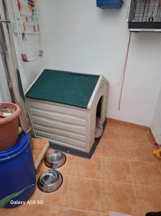 Caseta perro grande,esta muy cuidada