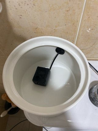 Fuente de agua para mascotas