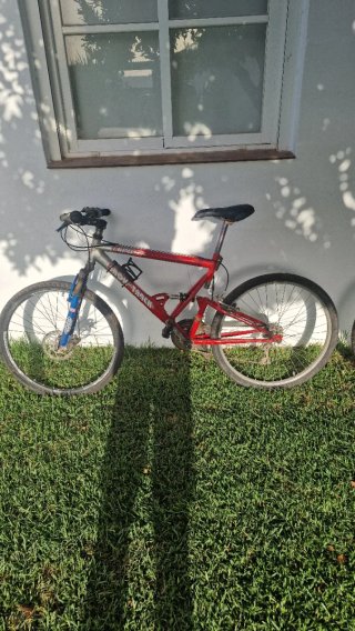 Bicicleta varias