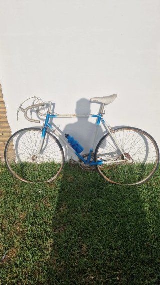 Bicicleta varias