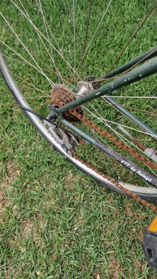 Bicicleta varias