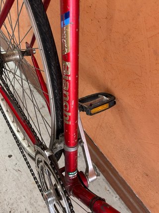 Bianchi Rekord 748 Roja 1978-1983