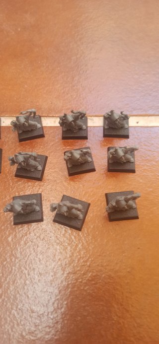 Warhammer Goblins Nocturnos VIII