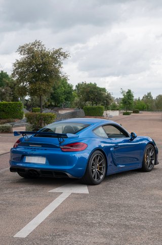 Porsche GT4