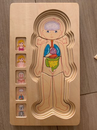 Puzzle Cuerpo Humano Madera