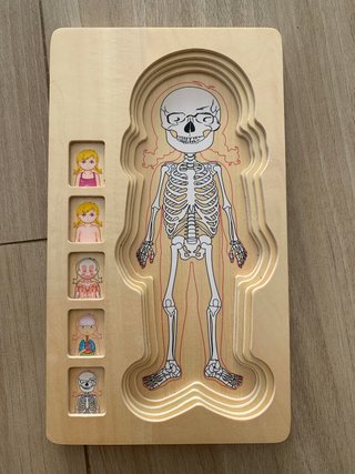 Puzzle Cuerpo Humano Madera
