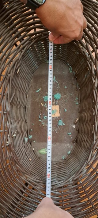 Cesta de mimbre