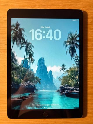 iPad 9 Cellular Gris/Plata + Funda