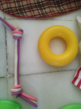 Kit Accesorios Perro Cama y Comederos (Todo)