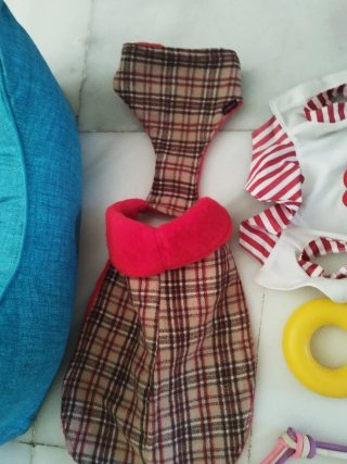 Kit Accesorios Perro Cama y Comederos (Todo)
