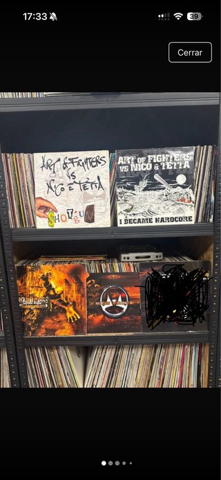 Lote Vinilos Hardcore Art of Fighters
