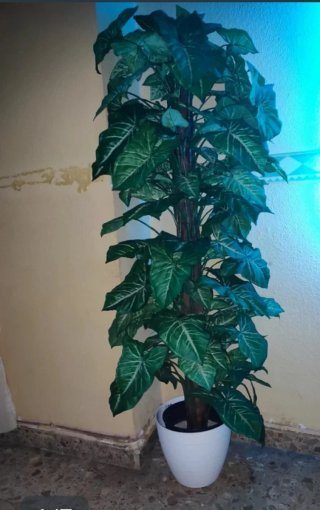 Planta artificial alta decorativa