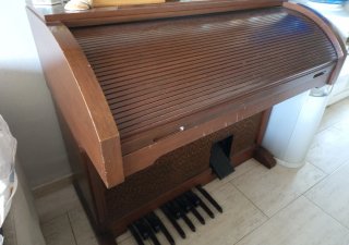 Organo Lowrey Antiguo