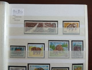 OSO PARDO LOTE 29 SELLOS URSUS ARCTOS