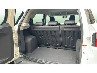 Ford EcoSport 1.5 Ti-VCT Titanium Powershift 82 kW (112 CV)