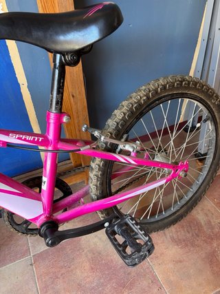 Bicicleta Infantil California Rosa 20