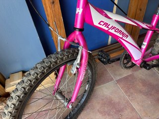 Bicicleta Infantil California Rosa 20
