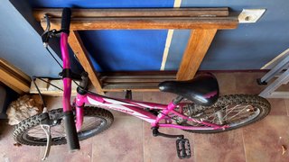 Bicicleta Infantil California Rosa 20