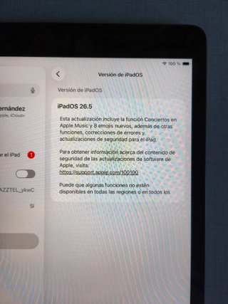 iPad 8ª Generación 128GB WiFi Gris Espacial