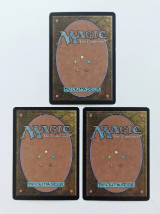 3x "Scudo dell'Anima Eccelsa" vintage ITA MTG NM