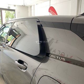 Citroen C4 Cactus 2018 SHINE