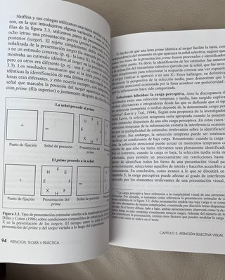 Atención Teoría y práctica (Psicología UNED) NUEVO