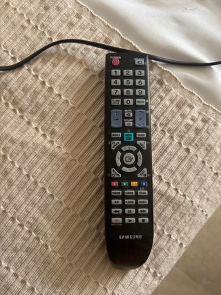 Samsung SyncMaster FX2490HD TV + Soporte Pared